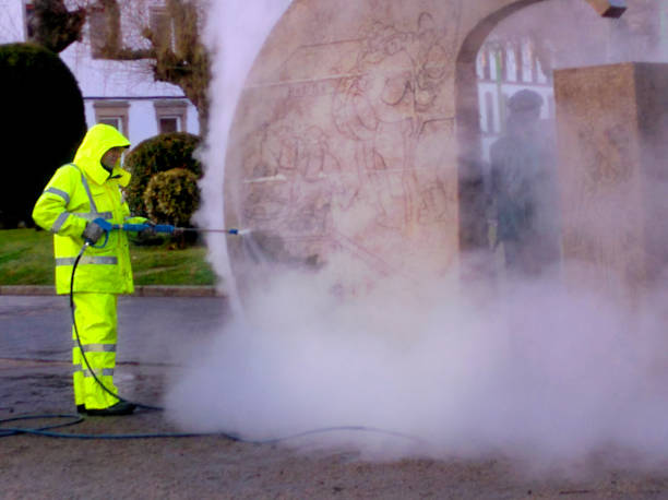 Best Pressure Washing Driveway  in Randolph, NE