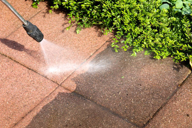 Best Roof Power Washing Services  in Randolph, NE