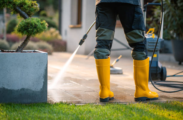 Best House Pressure Washing  in Randolph, NE